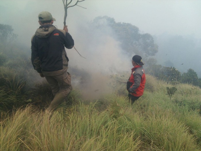 Kebakaran Savana Bromo Seluas 50 Hektare Akhirnya Padam