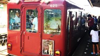 Hanya 80 pengunjung yang berkesempatan merasakan The Cat Cafe Train dalam dua sesi yang digelar. Mereka membayar 3.000 yen atau sekitar Rp 364.000 untuk tiket dan makan siang dalam kereta. Foto: ohcammet