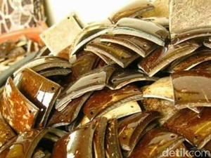 Mengintip Bisnis Kerajinan Batok Kelapa Beromzet Rp 20 Juta/Bulan