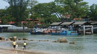 Pantai ini termasuk bersih dan terawat. Pohon-pohon kelapa di pesisir pantai membuat suasananya rindang (Singapore National Park)