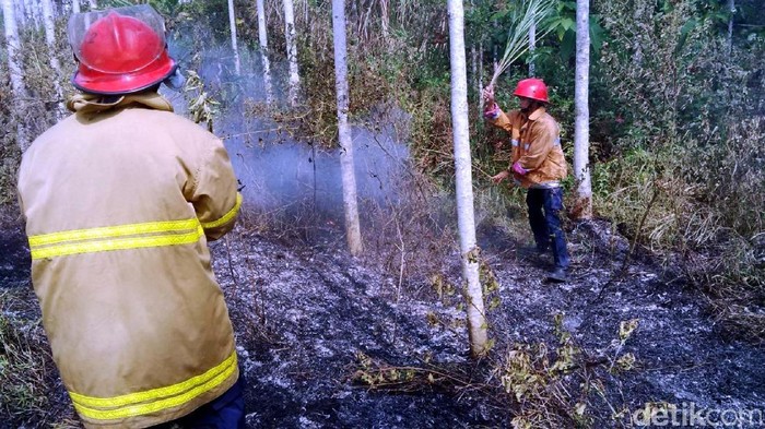 Area Hutan Dekat Permukiman di Cikembar Terbakar, Warga Panik