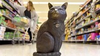 Patung perunggu Brutus bisa Anda temui di penjuru supermarket Morrisons cabang Flintshire.