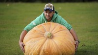 Richard Mann berpose dengan buah labu dari ladangnya. Labu raksasa tersebut sukses memecahkan rekor dengan berat mencapai 310,71 kg. Christopher Furlong/Getty Images.