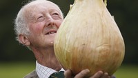 Seorang petani bernama Peter Glazebrook, memamerkan bawag raksasa hasil perkebunannya. Bawang sukses memenangkan penghargaan dengan berat mencapai 6,65 kg. Christopher Furlong/Getty Images.