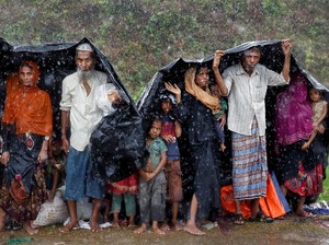 Tragedi Rohingya Ketuk Hati Selebriti Tanah Air