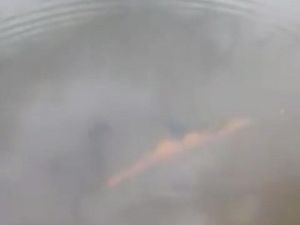 Kronologi Serangan Buaya ke Arjuna dan Supri si Pawang di Kaltim