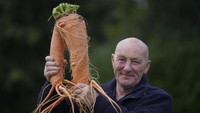 Tak mau kalah, Joe Atherton juga berpose bersama wortel dari perkebunannya. Wortel raksasa itu berhasil mencapai berat hingga 3,96 kg. Christopher Furlong/Getty Images.