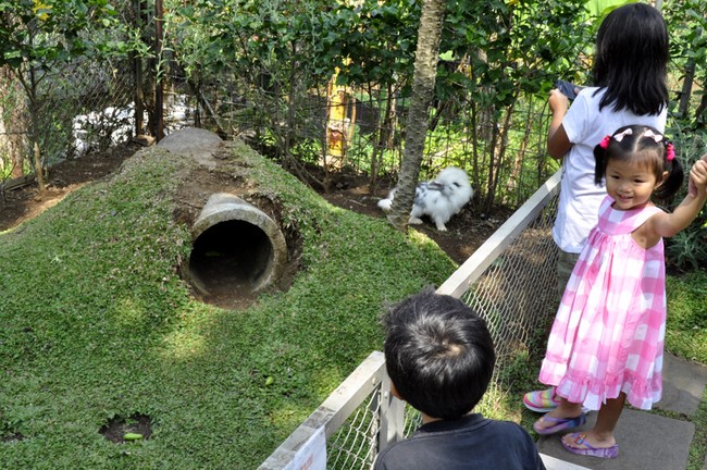 Di Bandung Ada Restoran yang Sediakan Taman Kelinci Hingga Playground untuk Anak