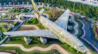 Di taman ini terdapat replika pesawat Emirates Airbus A380 yang ditutupi lebih 500 ribu bunga dan tanaman segar. Saat mekar, pesawat terbang ini akan berbalut sekitar lima juta bunga nan cantik (Dubai Miracle Garden/Facebook)