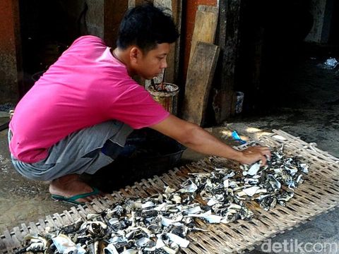 Olahan biawak dijadikan krupuk rambak/