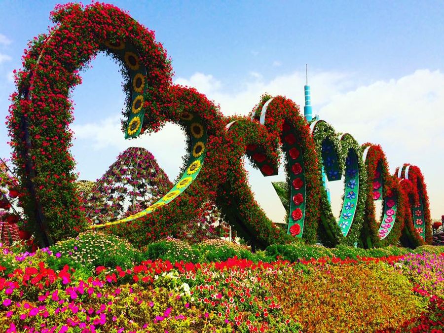 Gambar Taman  Bunga  Yg Sangat Indah  Kumpulan Gambar Bunga 