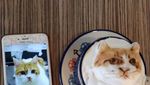 Ngopi Makin Asyik dengan Lukisan Latte Art 3 Demensi di Kafe Ini