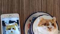 Si Manis dilukis lengkap dengan juntaian kakinya keluar dari cangkir kopi. Menggemaskan! Untuk latte art My Cofi mengenakan biaya dari Rp 100 ribu sampai Rp 2016 ribu tergantung gambarnya.Foto: Instagram My Cofi
