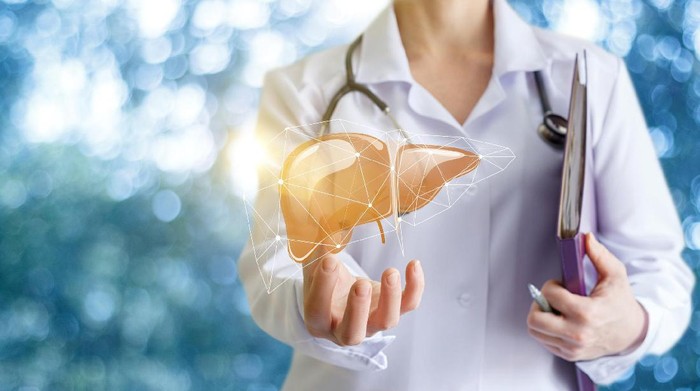 Dengan Printer 3D, Dokter Bisa Bedah Replika Organ Tubuh Manusia. Foto: Ilustrasi/Thinkstock Dengan Printer 3D, Dokter Bisa Bedah Replika Organ Tubuh Manusia. Foto: Ilustrasi/Thinkstock