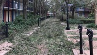 Suasana taman hiburan favorit wisatawan ini pun seperti kota mati. Daun-daun berguguran tanpa ada yang membereskan (Twitter/Cafe Fantasia)