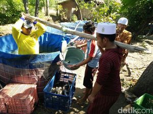 Dinas Perikanan Gandeng Ponpes di Probolinggo Budidaya Ikan