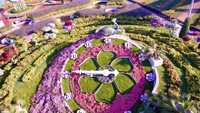 Taman ini memiliki 45 juta bunga yang ditata secantik mungkin. Dijamin siapapun berkunjung ke sini akan berdecak kagum! (Dubai Miracle Garden/Facebook)
