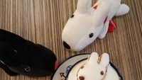 Boneka kelinci kesayangan juga jadi makin nyata bentuknya dengan lukisan 3 D dari buih susu di cangkir kopi Anda.Foto: Instagram My Cofi