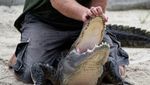 Melihat Aksi Pawang dan Mereka yang Berani Gulat dengan Buaya