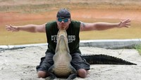 Ini merupakan aksi dari pawang buaya Travis Slater di acara yang digelar di Homestead Florida/Foto: Leila Macor AFP