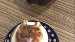 Ngopi Makin Asyik dengan Lukisan Latte Art 3 Demensi di Kafe Ini