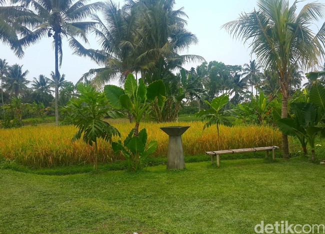 Kalau ke Jogja Bisa Ajak Si Kecil Mampir ke 5 Resto Ini