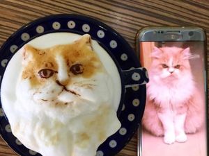 Ngopi Makin Asyik dengan Lukisan Latte Art 3 Demensi di Kafe Ini