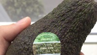 Ada stiker khusus kematangan alpukat di sini. Jadi pembeli bisa tahu alpukat sudah matang atau belum.