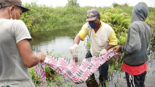 Jasad Suprianto di Riau yang termakan buaya.
