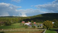 Bergeser dari pusat New York, ada Farm Sanctuary yang dekat dengan peternakan. Makanan di sini semuanya untuk vegetarian, tapi tamu-tamu bisa menikmati alam sambil melihat hewan ternak yang gemuk berlarian bebas (Farm Sanctuary)