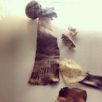 Tulang dan kulit yagn telah dimantrai yang menjadi koleksi museum (Galdrasyning a Strondum/Facebook)