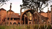 Mau safari tapi di AS, menginaplah di Disneys Animal Kingdom Lodge. Traveler bisa melihat zebra, wildebeest, jerapah, impala, serta ratusan hewan mamalia dan burung dari spot yang telah ditentukan (Disney)