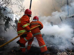 Aksi Heroik Petugas Damkar: Evakuasi Ular, Tawon, hingga Drone