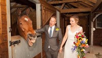 Kalau menginap di Manor Hill House, Worcestershire, Inggris, traveler bakalan ketemu sama Jack The Horse. Kuda ini ramah banget sama para pengunjung lho (Manor Hill House)