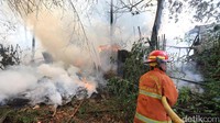 Daun-daun yang kering menjadikan api cepat merambat.
