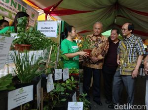 Melihat Ajang hydroponic Expo