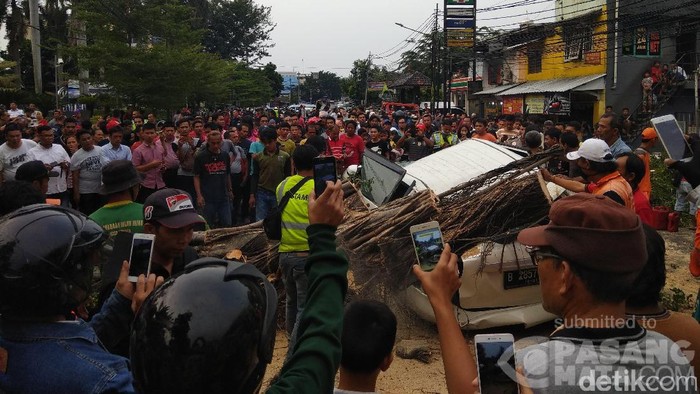 Pohon Tumbang Timpa 2 Mobil di KS Tubun, Lalin Macet