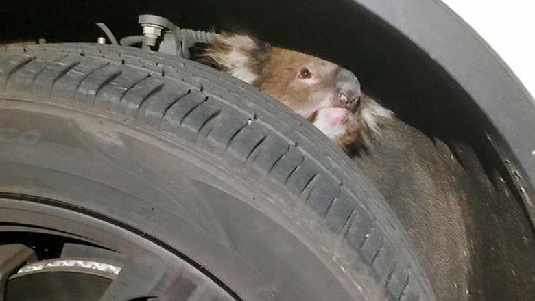Foto: Reuters Foto: Reuters