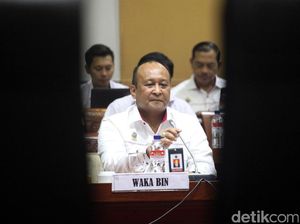 BIN Beberkan Ada 3 Front yang Aktif Dukung Referendum di Papua