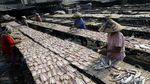 Kemarau, Produksi Ikan Asin Meningkat