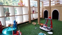 Yang unik Mamain juga menyediakan rabbit holes yang seru untuk ditelusuri si kecil.  Foto: Andi Annisa DR/detikFood