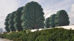 Foto: Hawaii di China Buatan Dubai