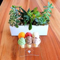 Nyamm! Gerai Ini Punya <i>Platter</i> Es Krim Isi 32 Rasa yang Unik dan Enak