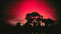 Kalau yang ini adalah Aurora Australis. Cahaya dari Kutub Selatan ini lebih sulit dilihat daripada rekannya dari belahan bumi utara. bepergian menuju ke selatan bumi akan menemui Aurora Australis. Cahaya dari Kutub Selatan ini akan menampakkan dirinya sekitar bulan Maret (Dok. CNN Travel)
