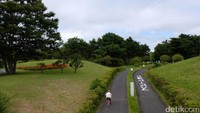 Kamu bisa juga bersepeda keliling taman bunga cantik ini. Bisa sekalian olahraga dan membuat badan lebih sehat bukan? (Rachman/detikTravel)
