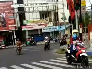 Ternyata, Pria Bugil Ngebut di Blitar itu Seorang Peternak Sukses