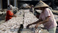 Musim kemarau membuat ikan asin cepat kering.