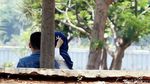 Duh, Taman Kota Waduk Pluit Kini Jadi Tempat Pacaran