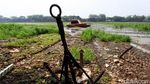 Begini Penampakan Setu Babakan Saat Surut