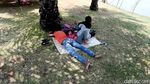 Duh, Taman Kota Waduk Pluit Kini Jadi Tempat Pacaran